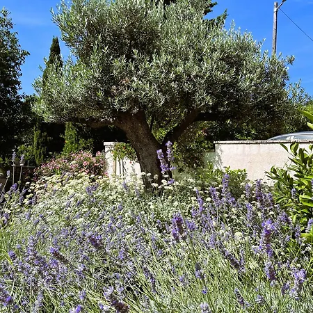 Karla Appartement Premantura